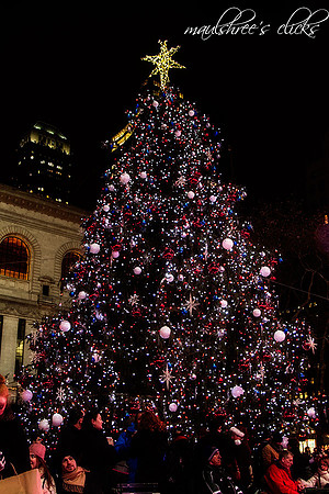 Bryant Park (New York, USA)