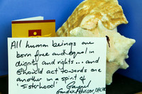 We are all born Free and Equal