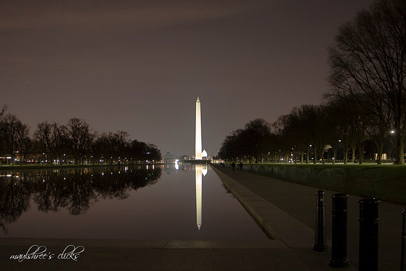 In the Reflecting Pond